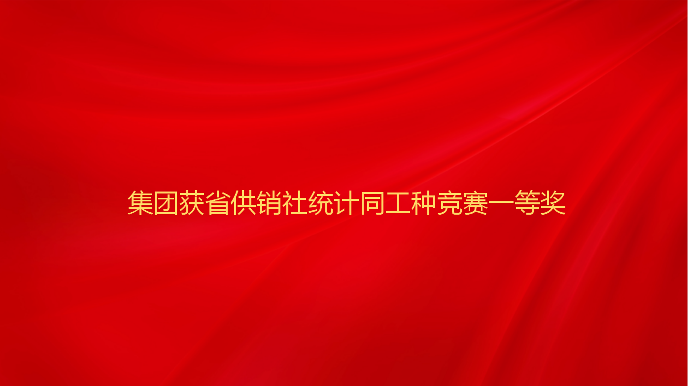 集团获省供销社统计同工种竞赛一...